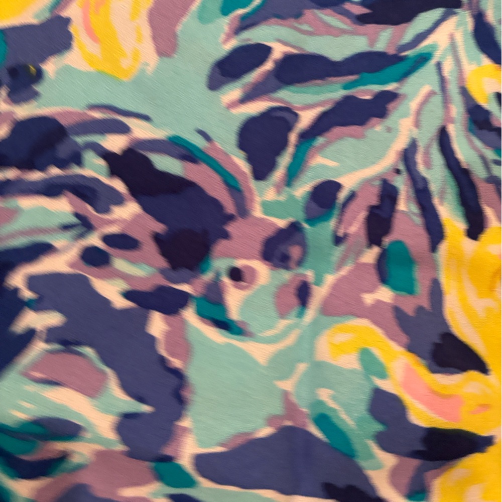 NWOT new Lilly Pulitzer Achelle swing dress with pom Poms and tassels size small - Picture 3 of 4